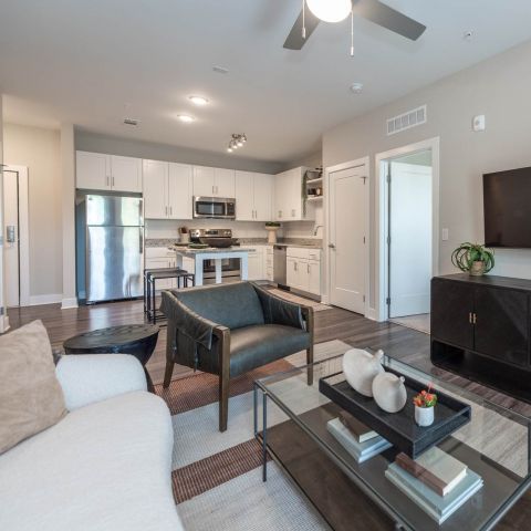 Attain at Towne Centre Modern Spacious Living Room